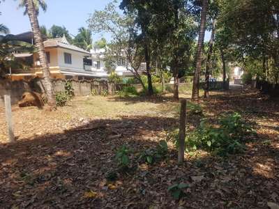 8 cent Residential house plots for sale near ponganamkad thrissur, price 4.60 lakh per cent slightly negotiable