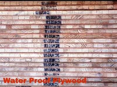 All type Pine double core board 
call or whatsapp
9672171111