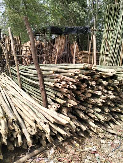 *Guru Nath Timber *
green bamboo 24ft