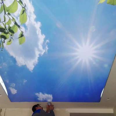 3D ceiling work in acrylic