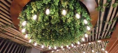HANGING PLANT  #greenwalls  #hangingbuses  #cafe  #jaipurblog  #jaipur  #Architect