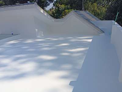 Roof seal coating#