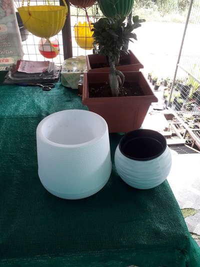 all types of Garden pots 
9778482949
