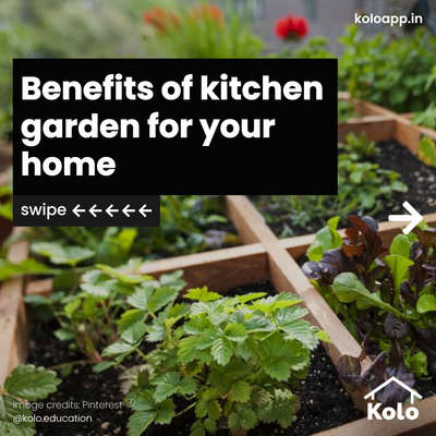 Grow your own herbs and vegetables in a kitchen garden. Tap ➡️ to learn more about the benefits of a kitchen garden. Let’s take a step towards a sustainable planet with our new series. 🙂 Learn tips, tricks and details on Home construction with Kolo Education 👍🏼 If our content has helped you, do tell us how in the comments ⤵️ Follow us on @koloeducation to learn more!!! #education #architecture #construction  #building #exterior #design #home #interior #expert #sustainability #koloeducation #kitchen #garden #ecofriendly