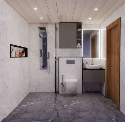 modern toilet 3d elevations