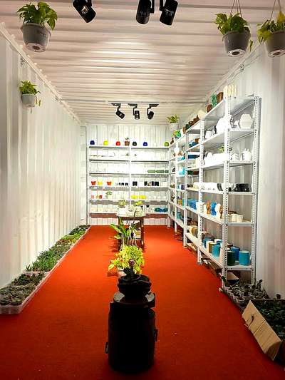 Indoor  plants   cabin (angellandscapingandartworld, Thrissur  mob:9567165443)
