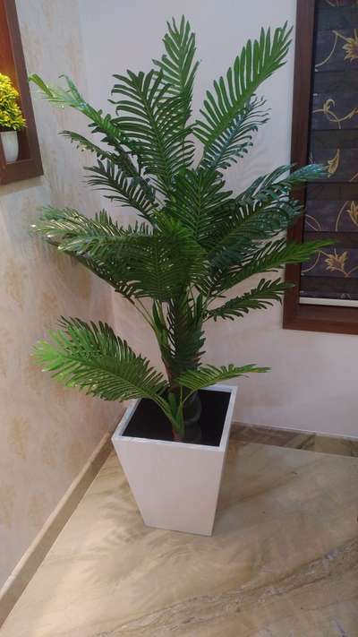 contact for big size planter pot -7736547720