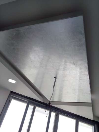 #ceiling silver liping #