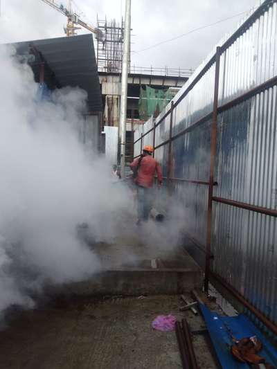 fogging service for mosquito controlling