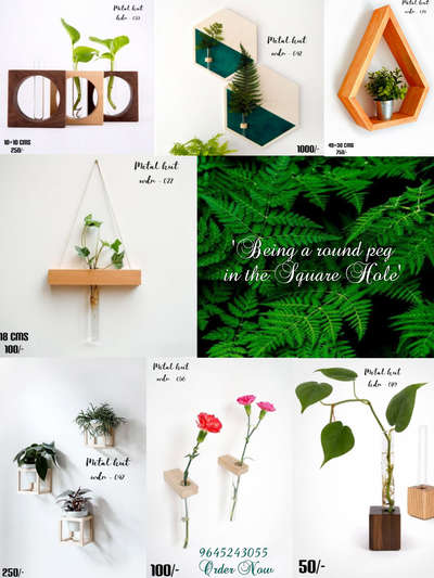 #pine_Homes#catal-01 wholesale
