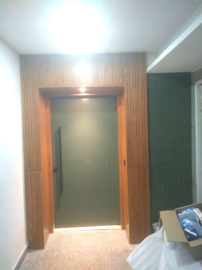 main door paneling work