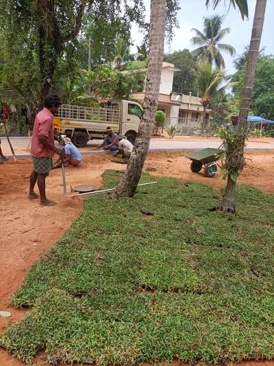 ongoing landscaping#pearl grass laying#soil levelling#tropical roots landscaping, Kochi