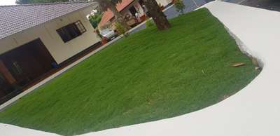 Grass work in frontyard of residential house