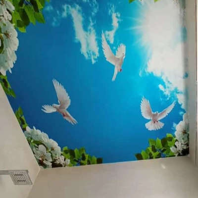 pasted ceiling wallpaper in PVC HD paper with 3d effect. for enquiries and orders please contact us at