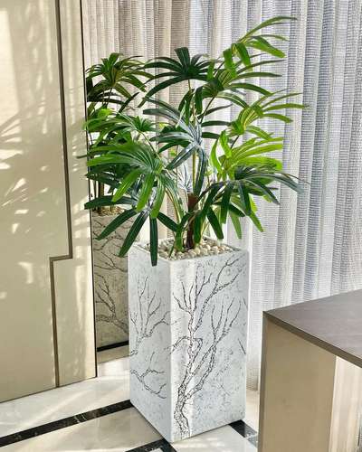 Artificial Rhapis plant available if you want to order then do contact us.

📞 9818616727
✉️ greenspacedecor55@gmail.com
.
.
.
.
.
.
#homedecor #plants #indoorplants #gardening #interiordecorating #gardenlove #plantsplantsplants #monstera #homedecorideas #houseplant #homeaccessories #interiordecoration #gardenideas #livingroomideas #homeinteriors #gardeninspo #homewares #decorinspo #planters #terracotta #gardendecor #outdoordecor #plantdecor #jardinage #artificialflowers #housedecor #vases #homeplants #flowerarrangements #homedecorations
