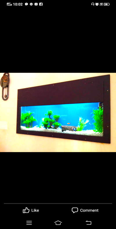 #wall concealed aquarium. #4'x2'x8". #artificial plants with fish.₹16000/above..