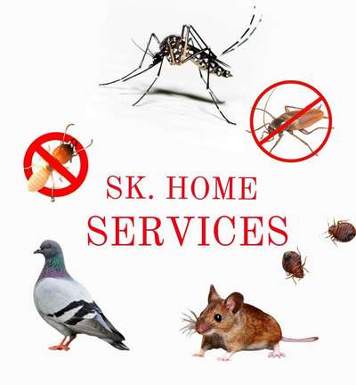 #anti termite control service