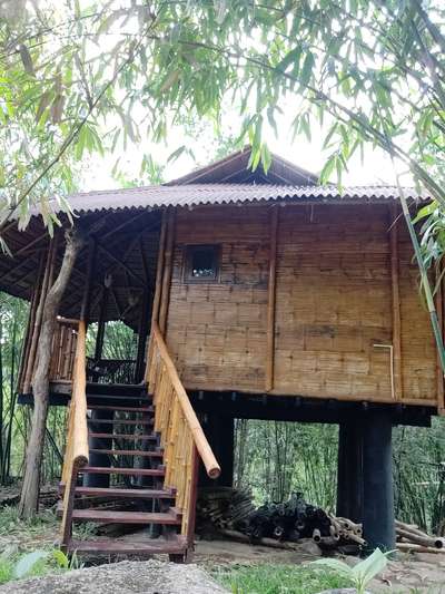 natural Bamboo cottage