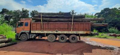 Teak