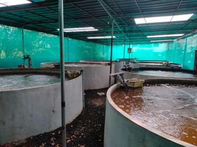 ferro Cement round tank perfect for biofloc fish farming (5m dia tank) mob: 9605681773,04842961773