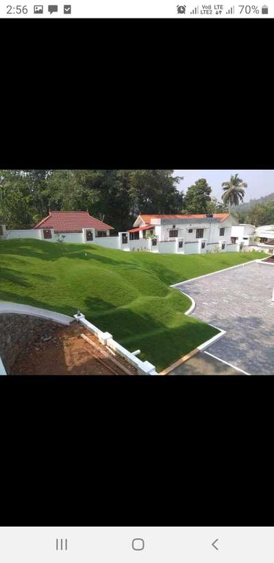 landscaping