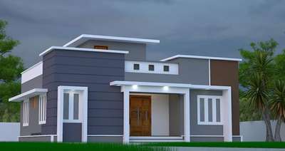 900 sqft house 3d elevation #InteriorDesigner ,#3d design,plan ,permit  #