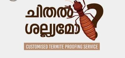 pest out pest control service
kottayam kerala
mob:8606807595
ചിതൽ ശല്യം പൂർണമായും നീക്കുന്നു
10യർ waaranty ഉൾപ്പടെ
24×7 സർവീസ് availabel
