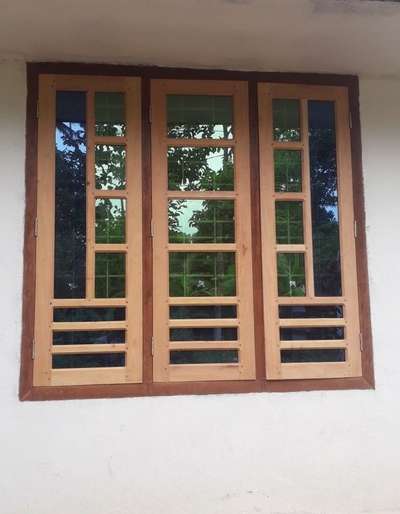 windows door