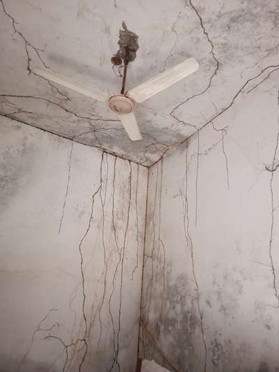 wall termite treatment heavy
