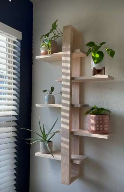 indoor plant rack