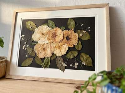 Transform your walls into a gallery of natural elegance.

Upgrade your wall decor with rose pressed and dried flower art. Framed pieces featuring pressed roses and foilage can create a striking focal point in any room.


#pressedflowersframed #pressedflowerartist #pressedflowers #lokallivin #driedflowers #driedflorals #driedherbs #walldecor #wallhanging #handmadewithlove #handmadecrafts #handmadeart #decorshopping