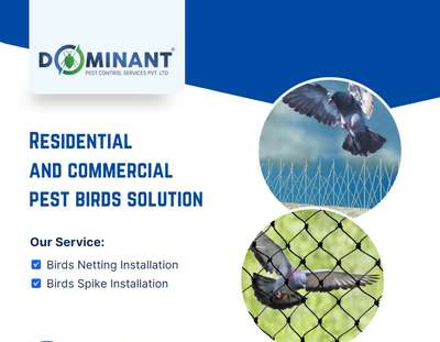 Bird Netting with warranty
For enquiries
call us @8089618518
