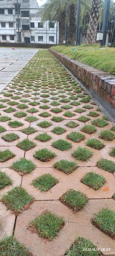 grass peving blocks