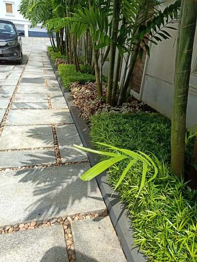 landscape 🌻🌻🌸