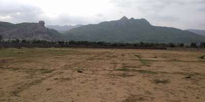 5.5 bigha agriculture land for sale in the village of.....near  omex city jaipur ajmer nh more details please call me on 9214000070