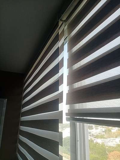 zebra Blinds 🦓
 #WindowBlinds 
 #HouseDesigns