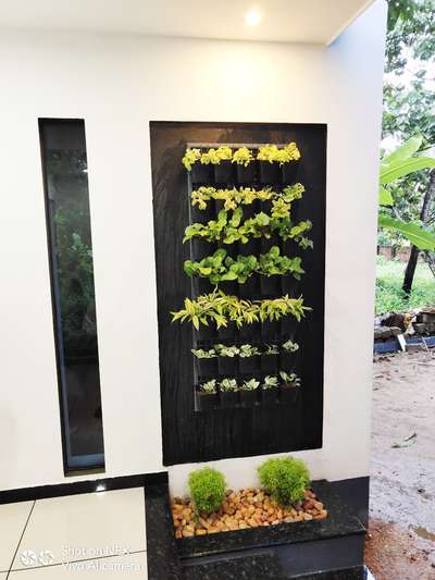 ##vertical garden##
deep black##😎