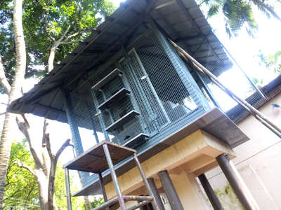 #pigeons cage
work site THRISSUR കിഴക്കുംപട്ടുകര
iron cage roofing sheet
multi wood inside
 cage