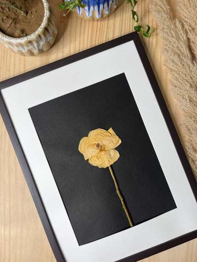 Hanging Pressed Rose Flower Frame Art
#homedecor#rose#pressedflower#wallart #decorshopping