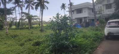 house plot for sale chittilappilly 300000per cent