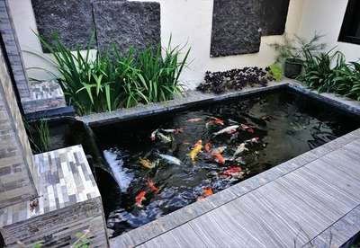 Fish pond in garden