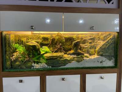 glass aquarium background