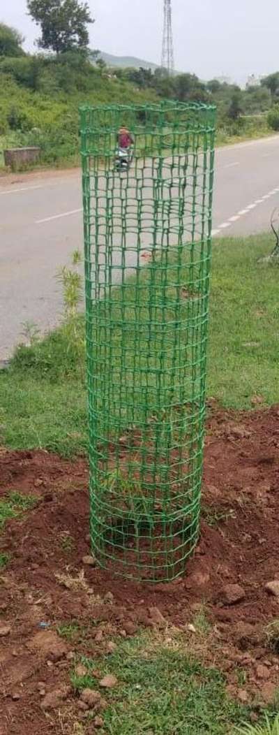 plastic tree guard 
 #plastictreeguard