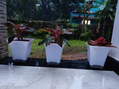indor garden pots 

9946455152