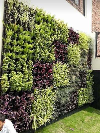 Vertical garden