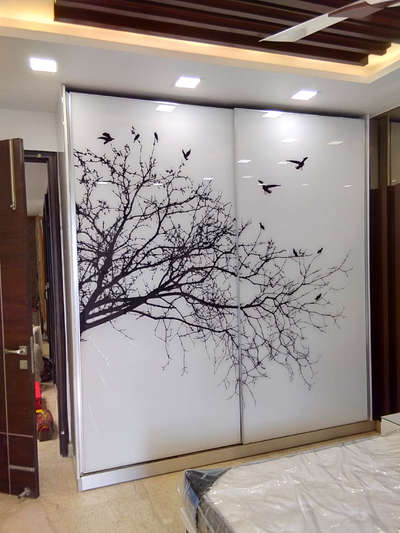 Acrylic  #acrylicwardrobe