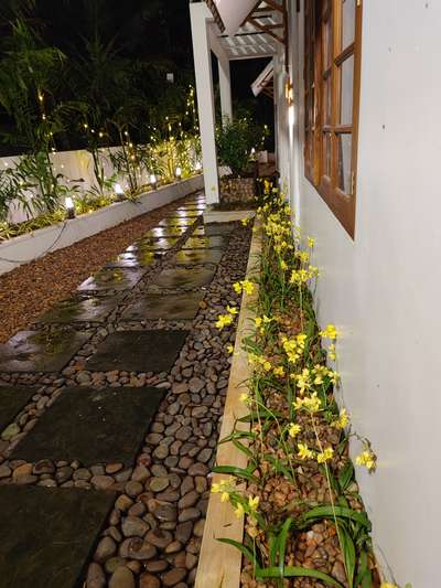 pebble and kadappa stone path way &Mexican grass