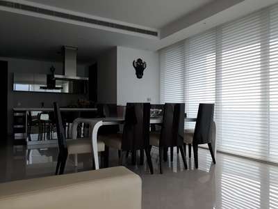 solerette blinds