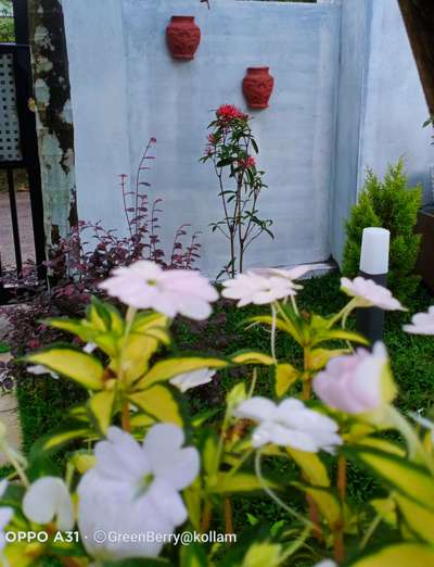 #LandscapeIdeas #Landscape