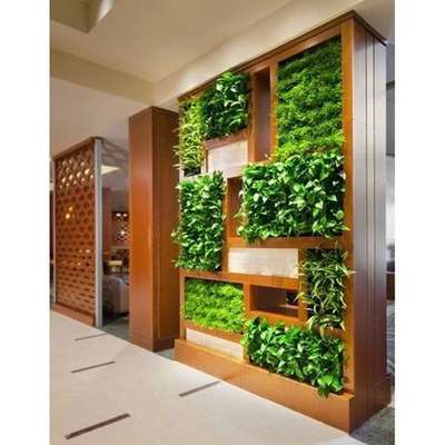 vertical garden
#VerticalGarden
#IndoorPlants
#homeinteriordesign